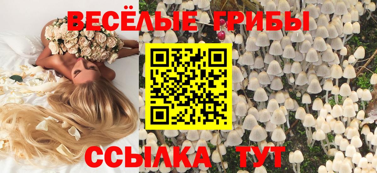Кузнецк  Псилоцибиновые грибы GOLDEN TEACHER  Вход с VPN 